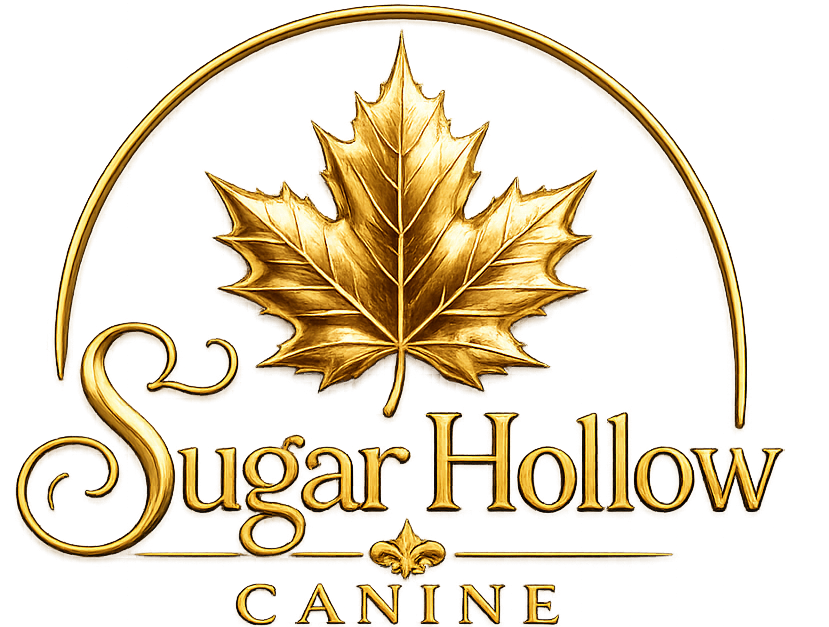 Footer Logo
